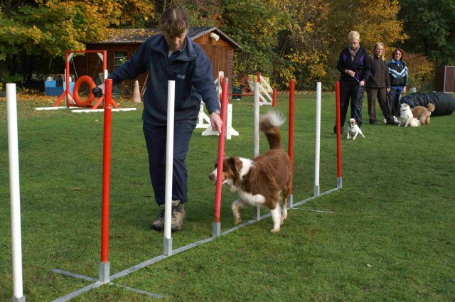 agility 2011-10-30